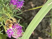 View photo in a new window