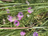 View photo in a new window