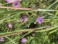 View photo in a new window