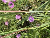 View photo in a new window