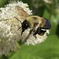 View photo in a new window