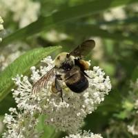 View photo in a new window