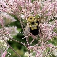 View photo in a new window