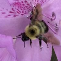 View photo in a new window