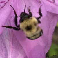 View photo in a new window