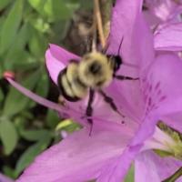 View photo in a new window