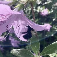 View photo in a new window