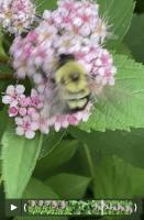 View photo in a new window