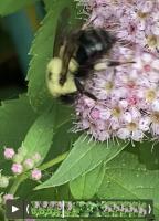 View photo in a new window