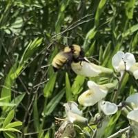 View photo in a new window