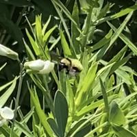 View photo in a new window