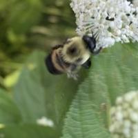 View photo in a new window