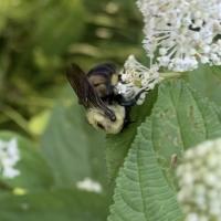 View photo in a new window