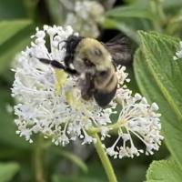 View photo in a new window