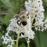 View photo in a new window