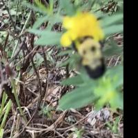 View photo in a new window