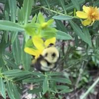 View photo in a new window