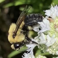 View photo in a new window