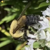 View photo in a new window