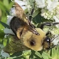 View photo in a new window