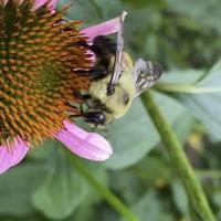 View photo in a new window