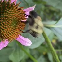 View photo in a new window