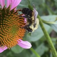 View photo in a new window