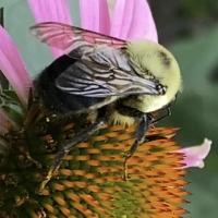 View photo in a new window