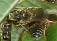 View photo in a new window