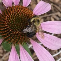 View photo in a new window