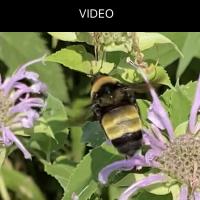 View photo in a new window