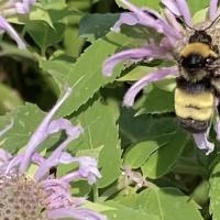 View photo in a new window