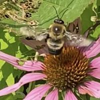 View photo in a new window