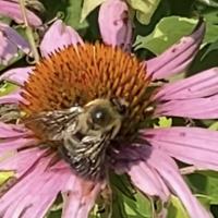 View photo in a new window