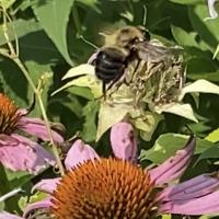 View photo in a new window