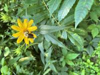 View photo in a new window