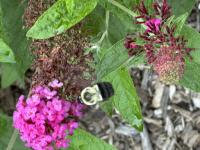 View photo in a new window