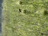 View photo in a new window