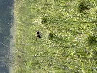 View photo in a new window