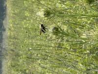 View photo in a new window