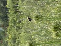 View photo in a new window