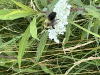 View photo in a new window