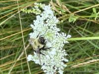 View photo in a new window