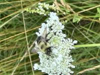 View photo in a new window