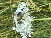 View photo in a new window