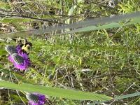 View photo in a new window