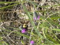 View photo in a new window