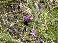 View photo in a new window