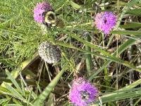 View photo in a new window