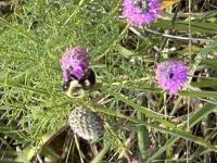 View photo in a new window